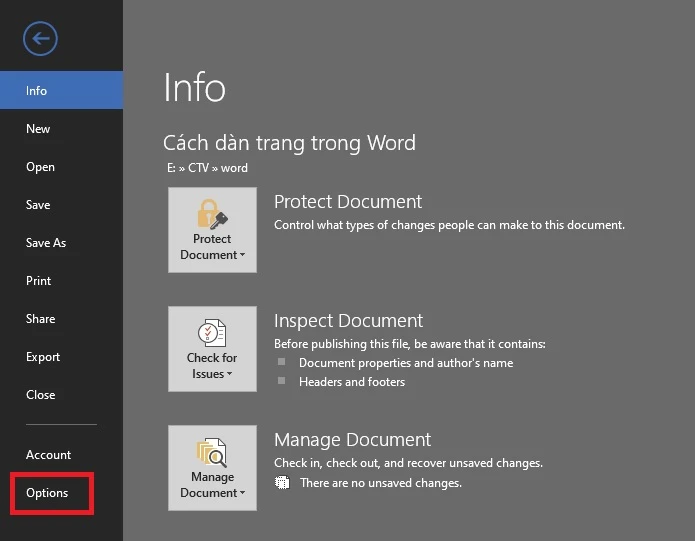 Chọn File sau đó chọn Options như trong hình