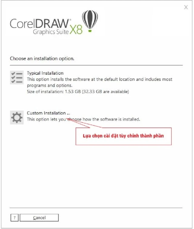Chọn Custom Installation