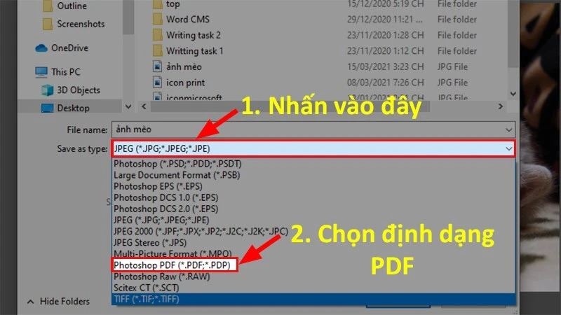 Chọn ví trí để lưu file > Chọn kiểu lưu PDF