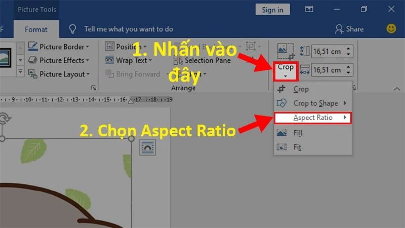 Chọn mục Aspect Ratio ở công cụ Crop