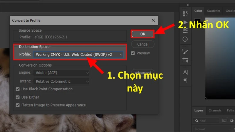Đi đến phần Destination Space > Chọn Working CMYK > Nhấn OK